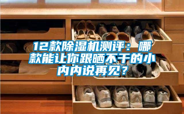 12款除湿机测评：哪款能让你跟晒不干的小内内说再见？