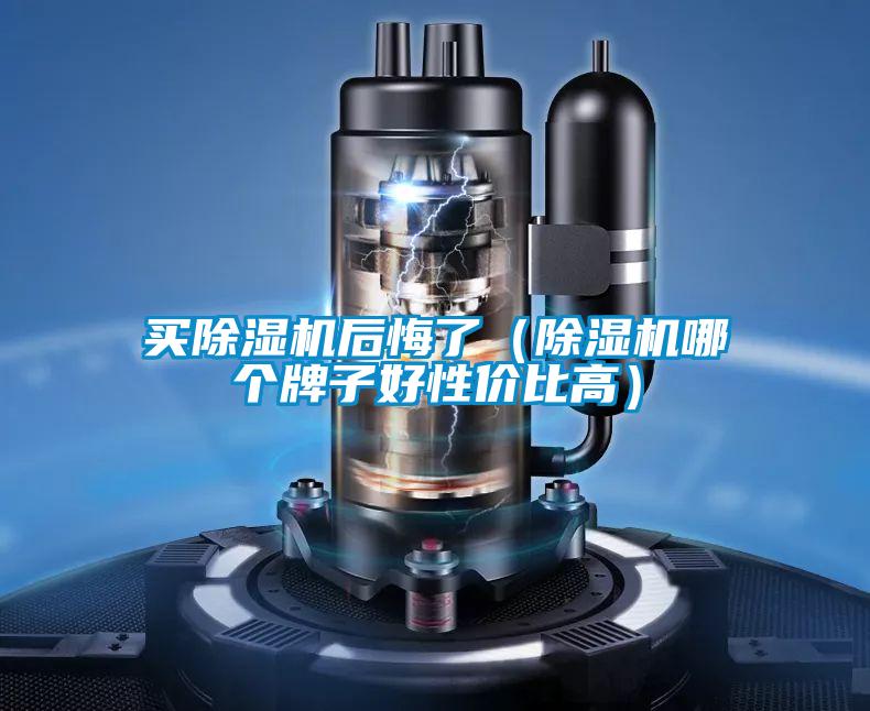 买除湿机后悔了（除湿机哪个牌子好性价比高）