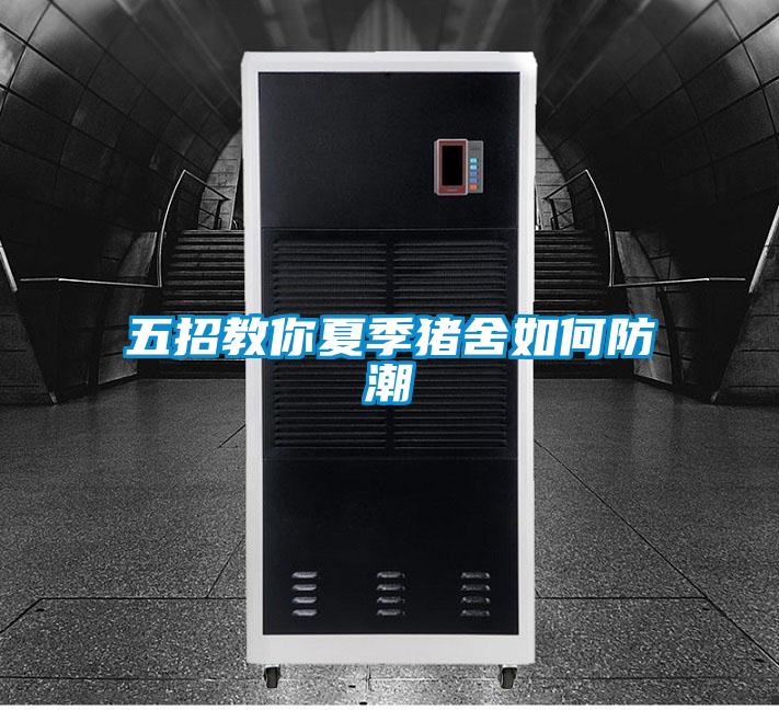 五招教你夏季猪舍如何防潮