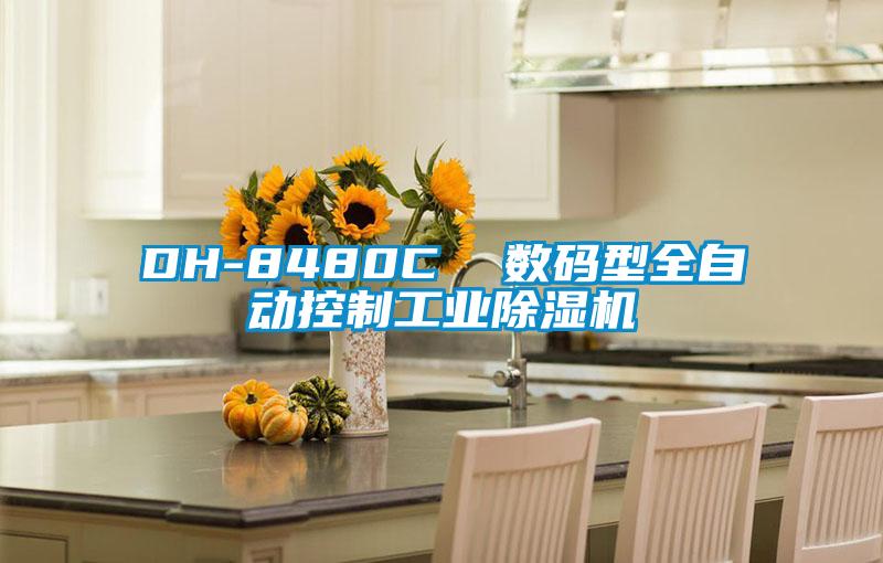 DH-8480C  数码型全自动控制宝马电子游戏平台网址
