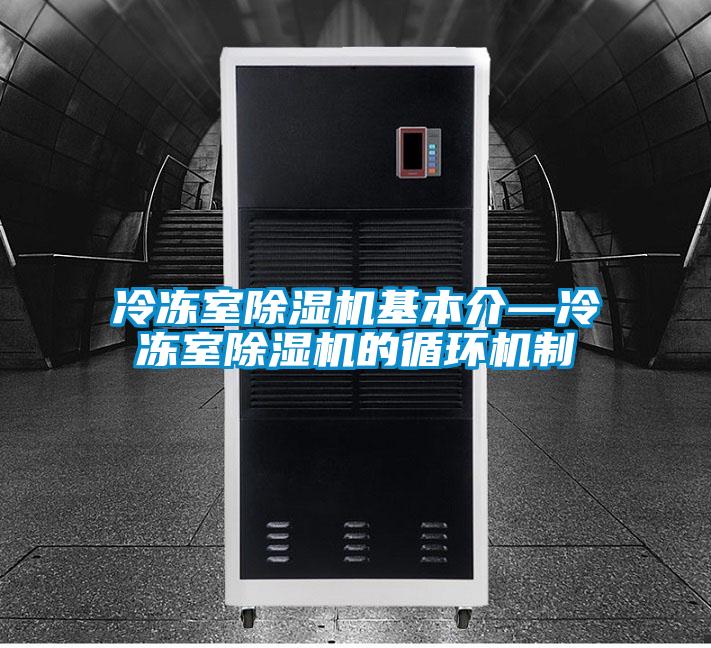 冷冻室除湿机基本介—冷冻室除湿机的循环机制