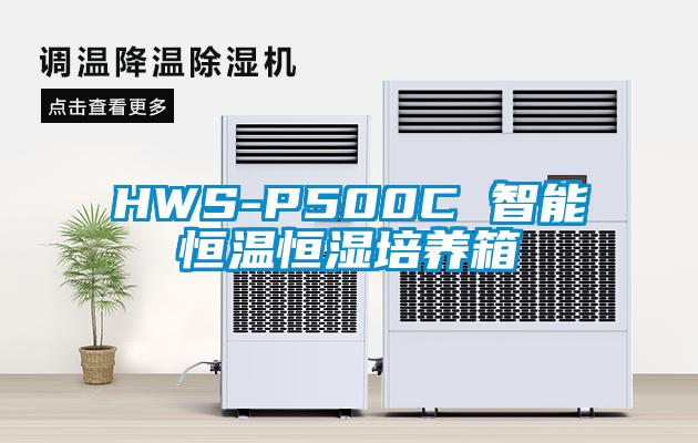 HWS-P500C 智能恒温恒湿培养箱