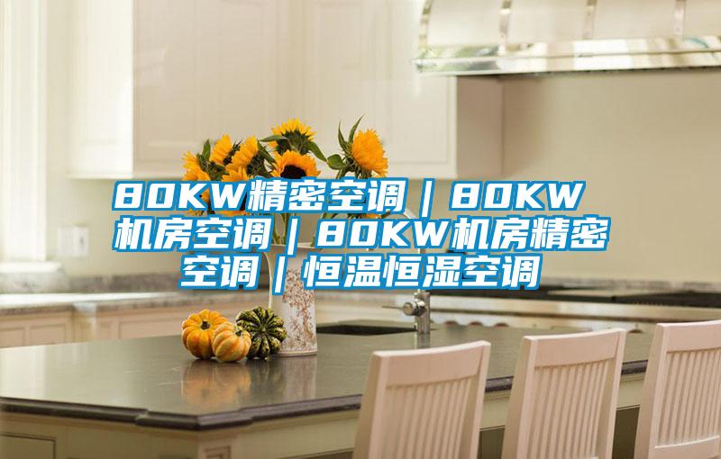 80KW精密空调｜80KW 机房空调｜80KW机房精密空调｜恒温恒湿空调