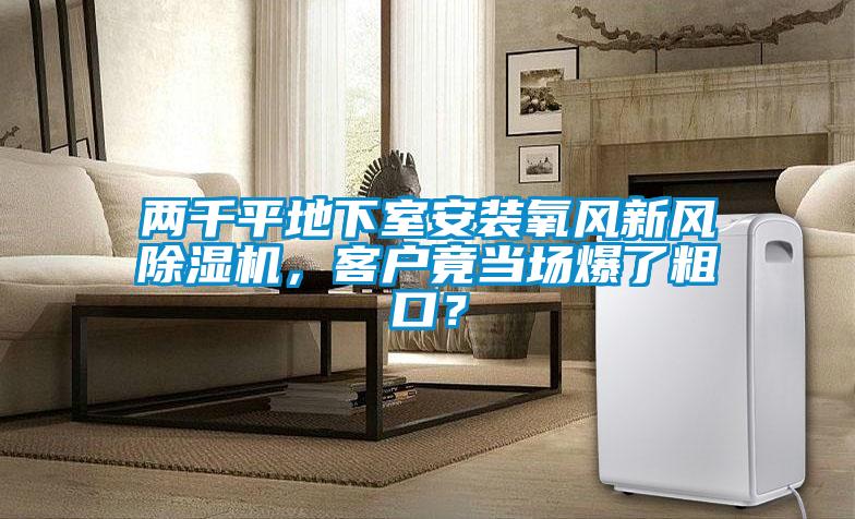 两千平地下室安装氧风新风除湿机，客户竟当场爆了粗口？