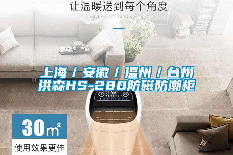 上海／安徽／温州／台州洪森HS-280防磁防潮柜