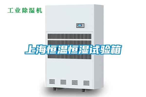 上海恒温恒湿试验箱