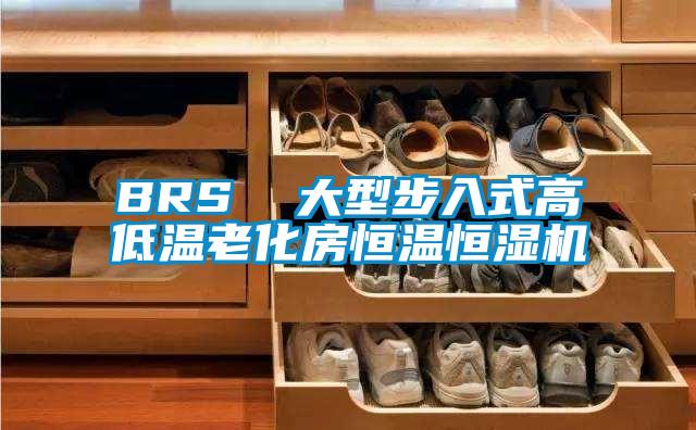 BRS  大型步入式高低温老化房恒温恒湿机