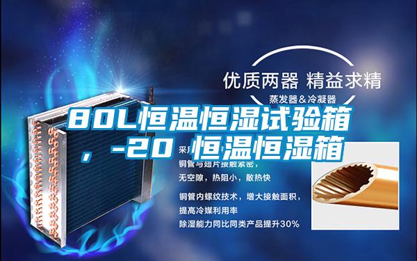 80L恒温恒湿试验箱，-20℃恒温恒湿箱