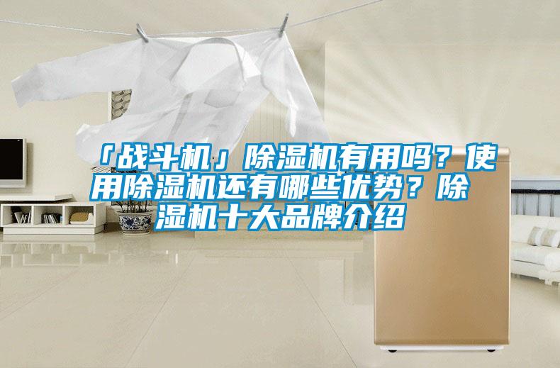 「战斗机」除湿机有用吗？使用除湿机还有哪些优势？除湿机十大品牌介绍