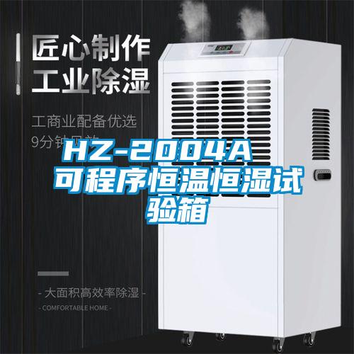 HZ-2004A  可程序恒温恒湿试验箱