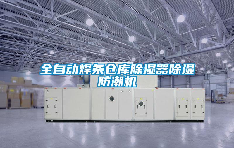 全自动焊条仓库除湿器除湿防潮机