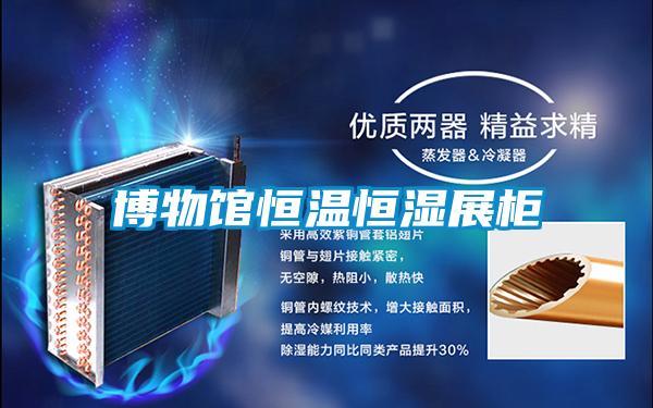 博物馆恒温恒湿展柜