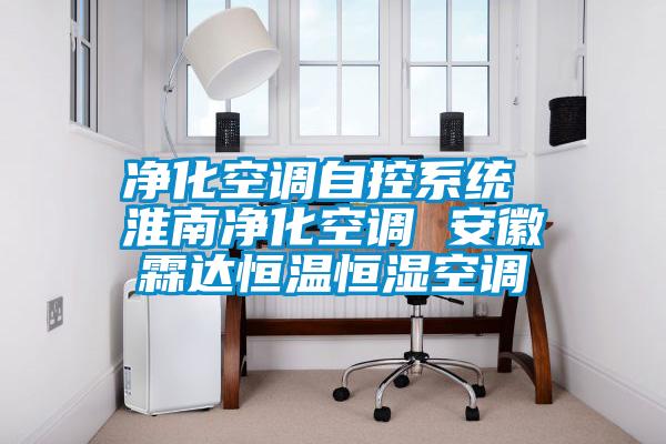 净化空调自控系统 淮南净化空调 安徽霖达恒温恒湿空调
