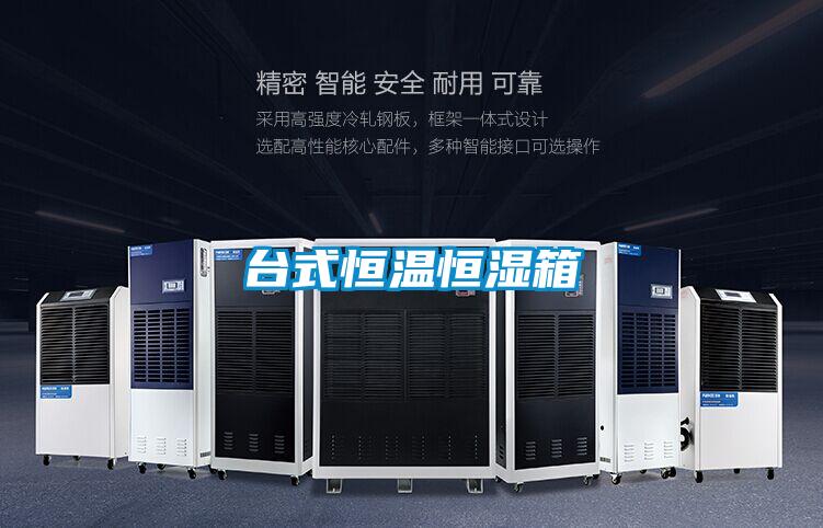 台式恒温恒湿箱