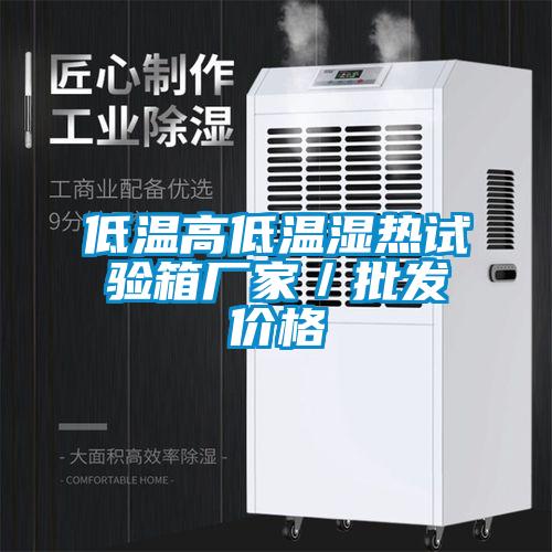 低温高低温湿热试验箱厂家／批发价格