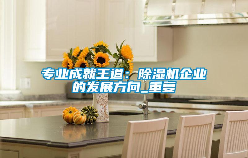 专业成就王道：除湿机企业的发展方向_重复