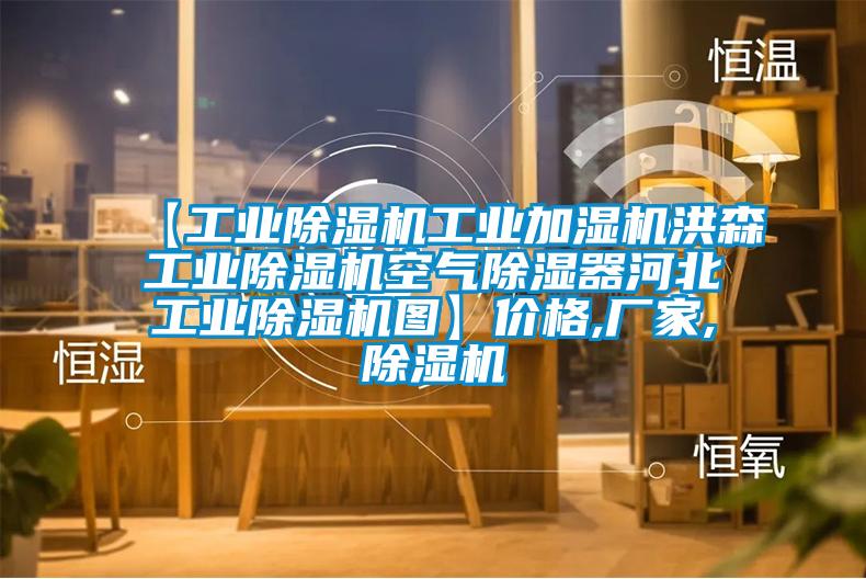 【宝马电子游戏平台网址工业加湿机洪森宝马电子游戏平台网址空气除湿器河北宝马电子游戏平台网址图】价格,厂家,除湿机
