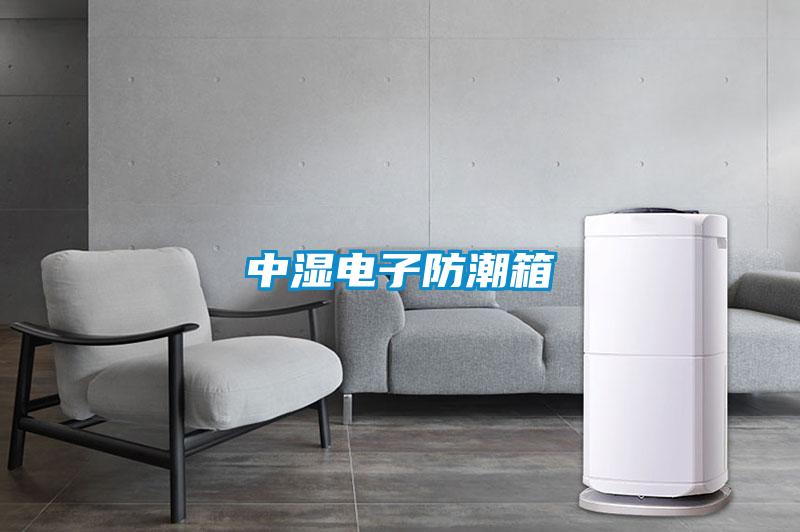 中湿电子防潮箱