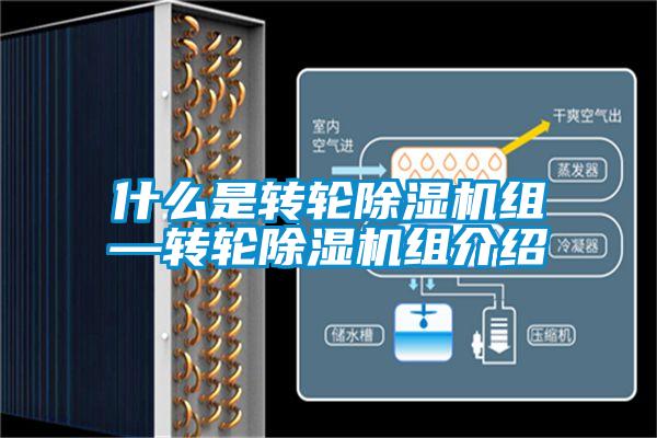 什么是转轮除湿机组—转轮除湿机组介绍