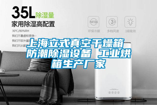 上海立式真空干燥箱 防潮除湿设备 工业烘箱生产厂家