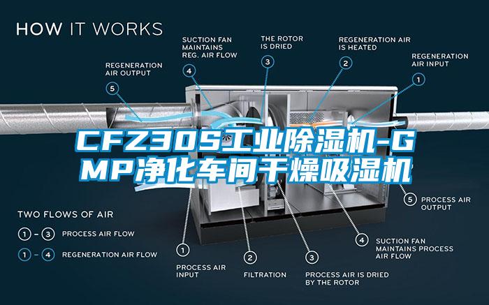CFZ30S宝马电子游戏平台网址-GMP净化车间干燥吸湿机