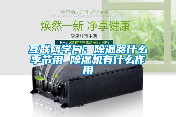 互联网学问：除湿器什么季节用 除湿机有什么作用