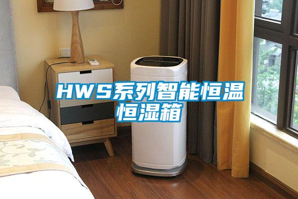 HWS系列智能恒温恒湿箱