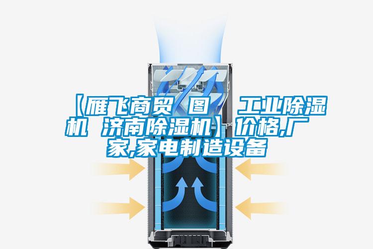 【雁飞商贸 图  宝马电子游戏平台网址 济南除湿机】价格,厂家,家电制造设备