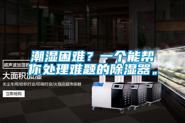 潮湿困难？一个能帮你处理难题的除湿器。