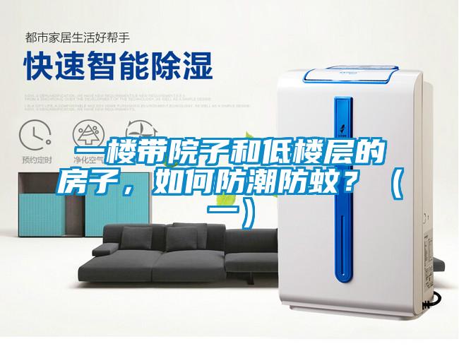 一楼带院子和低楼层的房子，如何防潮防蚊？（一）