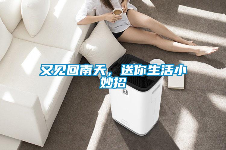 又见回南天，送你生活小妙招