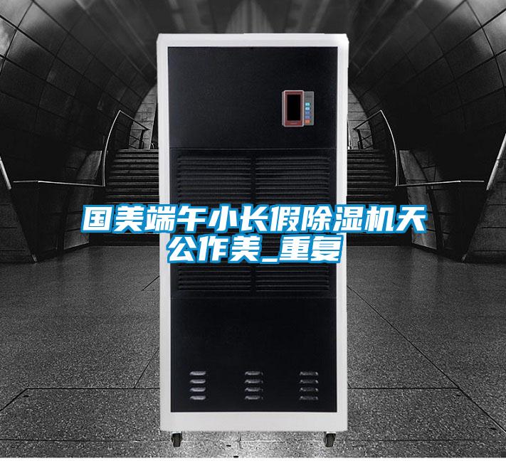 国美端午小长假除湿机天公作美_重复