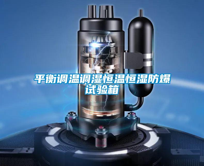 平衡调温调湿恒温恒湿防爆试验箱