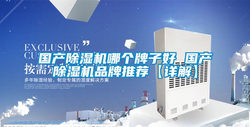 国产除湿机哪个牌子好 国产除湿机品牌推荐【详解】
