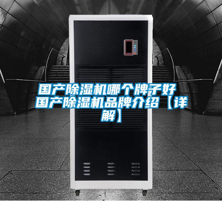 国产除湿机哪个牌子好 国产除湿机品牌介绍【详解】