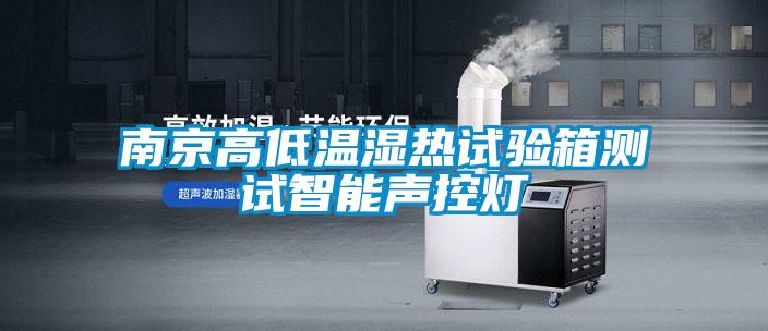 南京高低温湿热试验箱测试智能声控灯