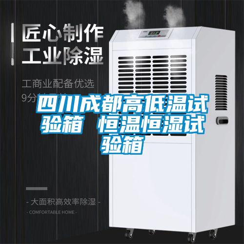 四川成都高低温试验箱 恒温恒湿试验箱