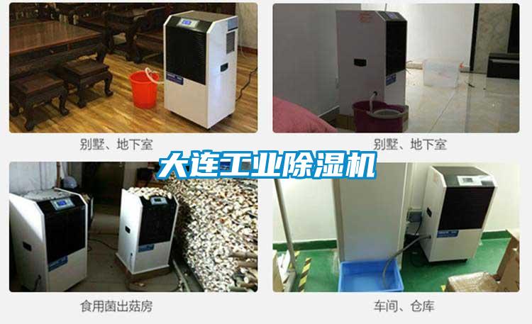 大连宝马电子游戏平台网址