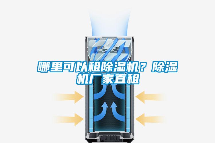 哪里可以租除湿机？宝马电子游戏娱乐直租