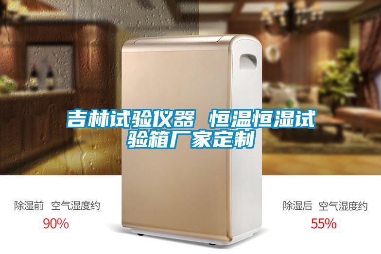 吉林试验仪器 恒温恒湿试验箱厂家定制