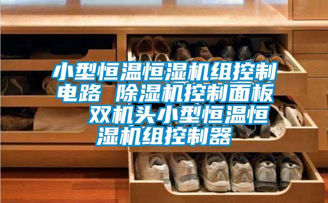 小型恒温恒湿机组控制电路 除湿机控制面板  双机头小型恒温恒湿机组控制器