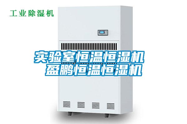 实验室恒温恒湿机 盈鹏恒温恒湿机