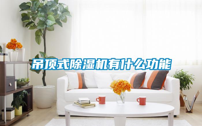 吊顶式除湿机有什么功能