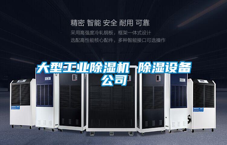 大型宝马电子游戏平台网址 除湿设备公司