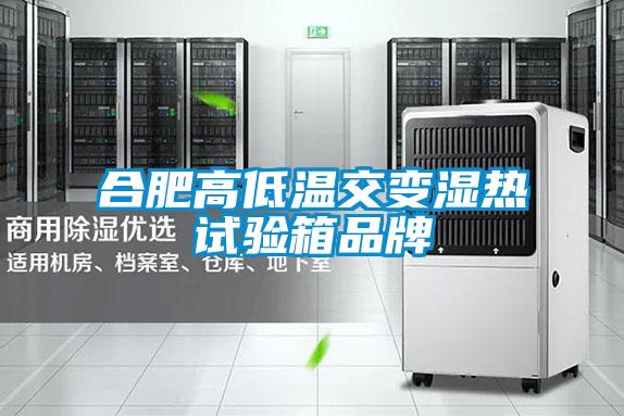 合肥高低温交变湿热试验箱品牌