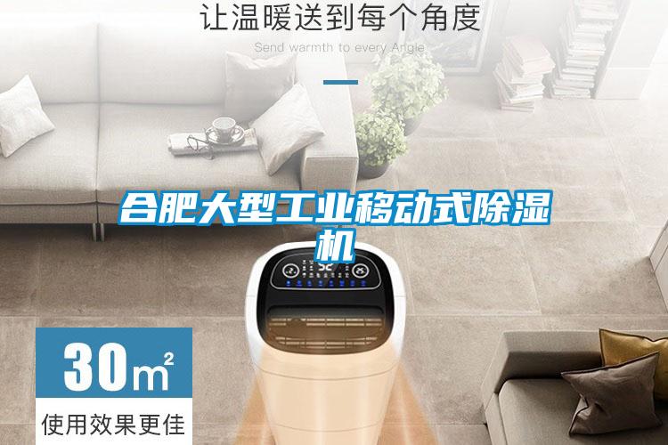 合肥大型工业移动式除湿机