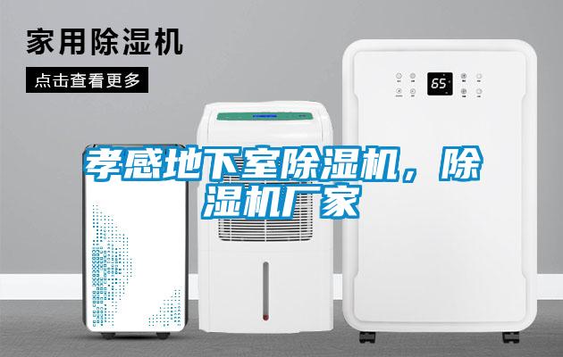 孝感地下室除湿机，宝马电子游戏娱乐