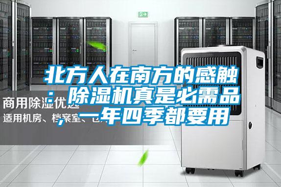 北方人在南方的感触：除湿机真是必需品，一年四季都要用