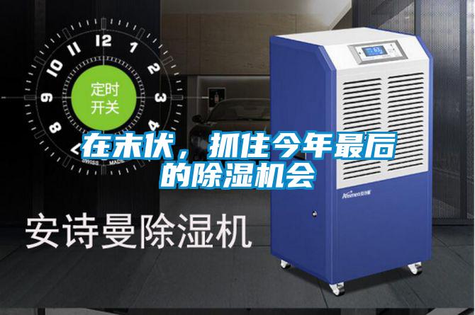 在末伏，抓住今年最后的除湿机会