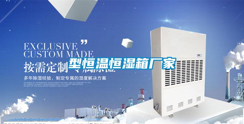 型恒温恒湿箱厂家